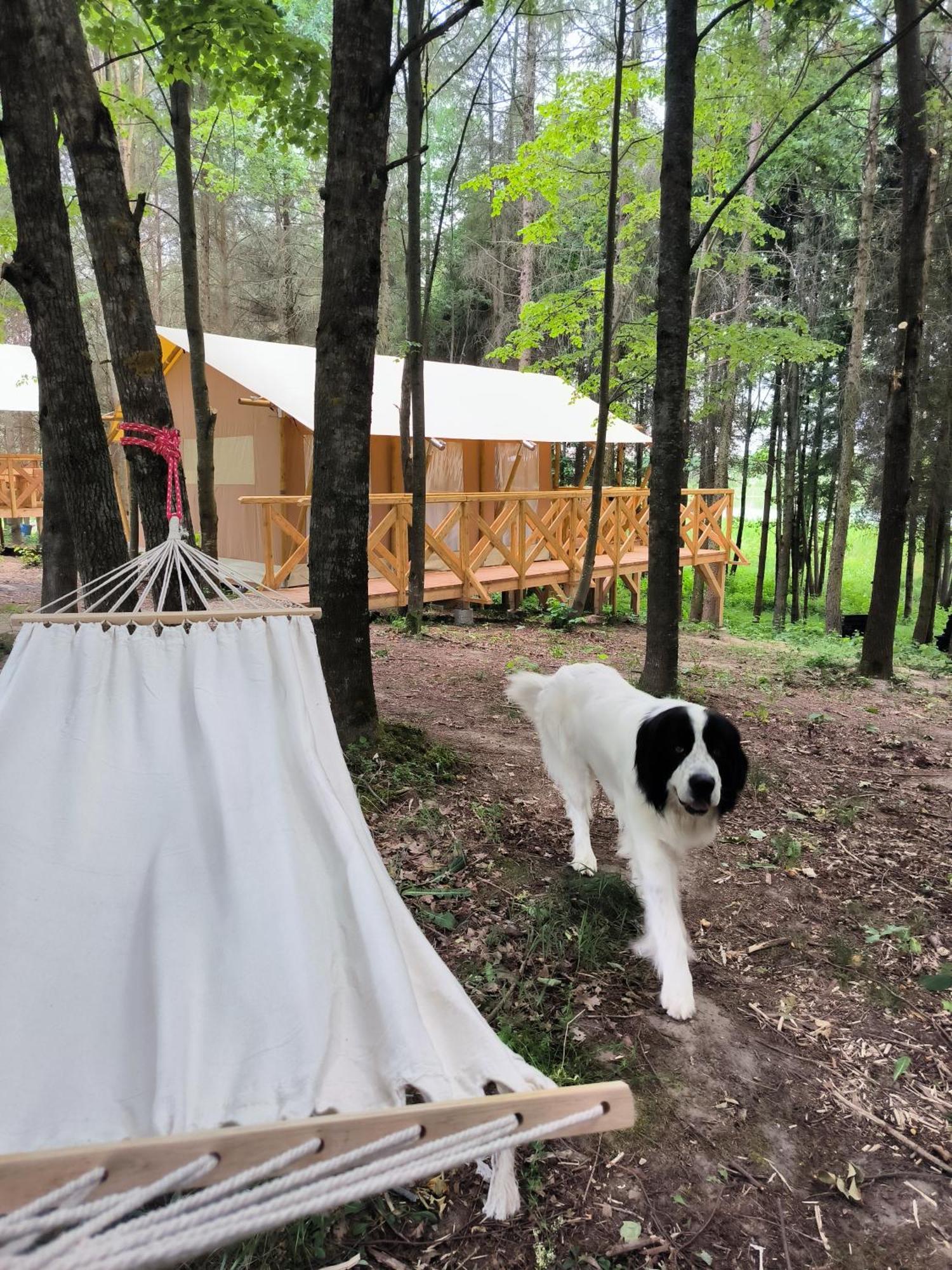 Glamping Mazury - Przystan Glamping Jeziorany